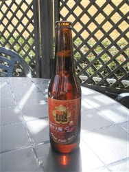 P3140868_R2.jpg