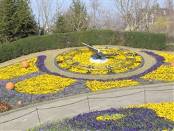 P3140916_R2.jpg